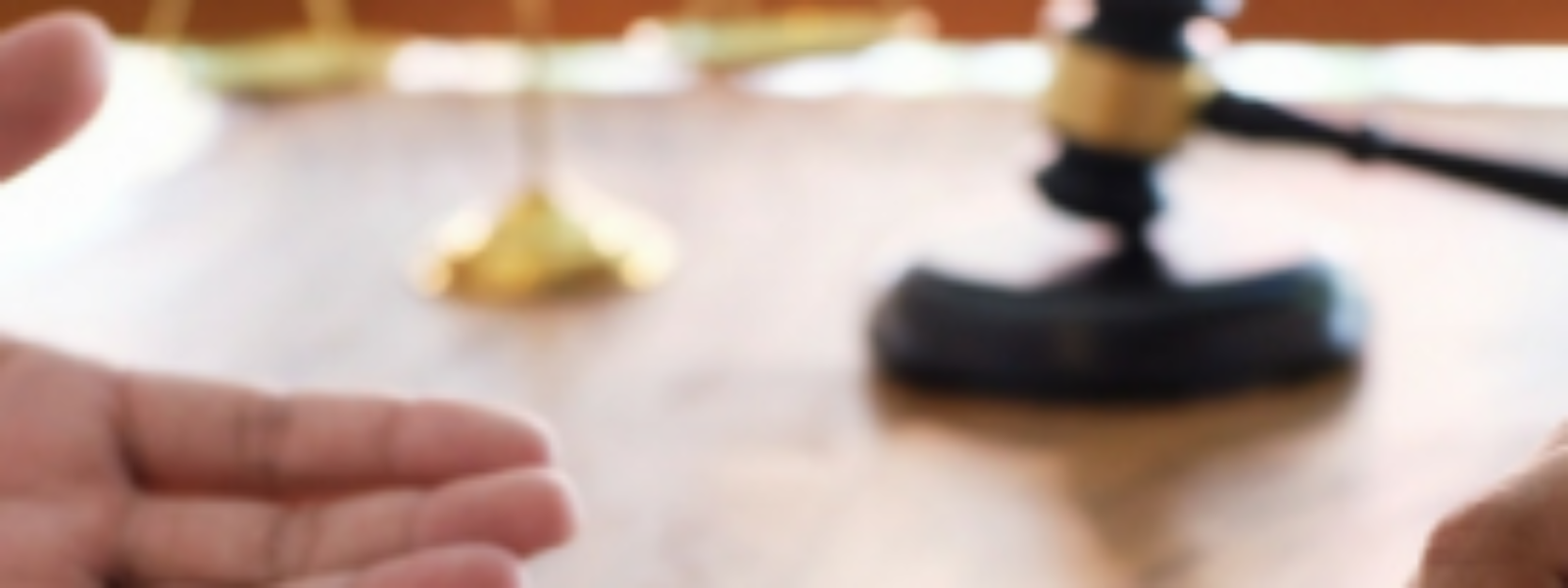 What does a Commercial Litigator do?