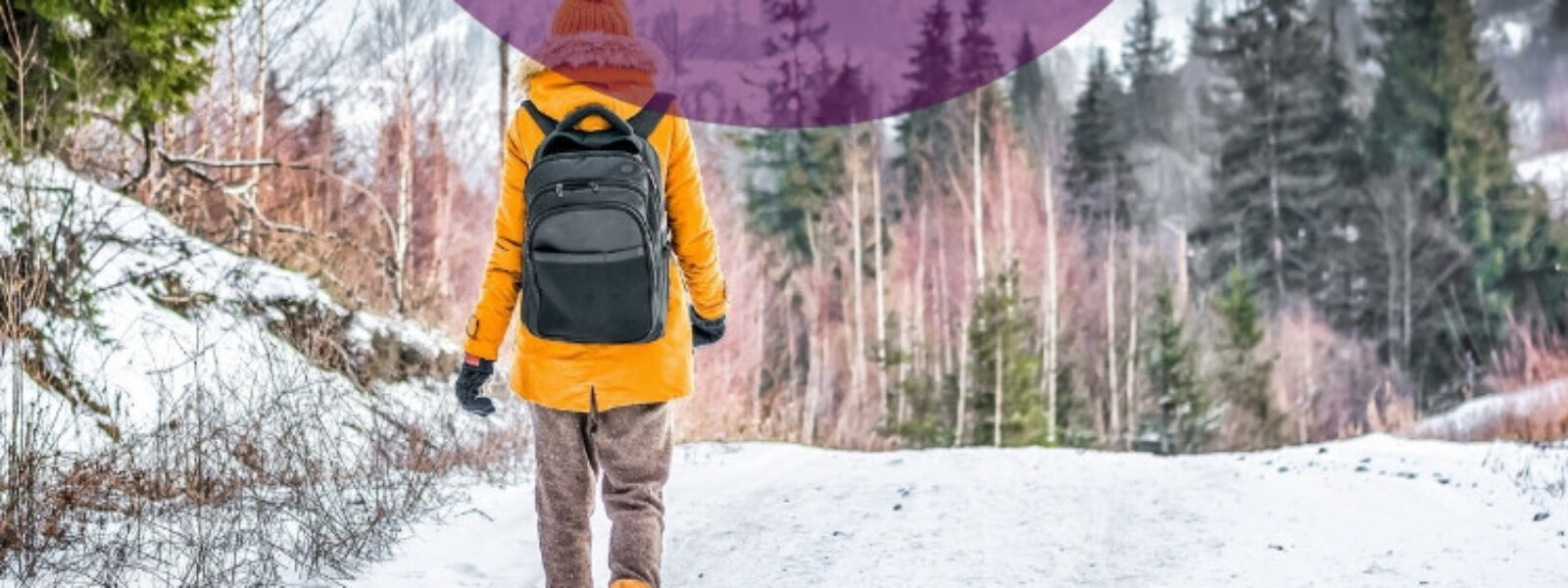 What are your rights if snow disrupts travel_ What are your rights if snow disrupts travel?