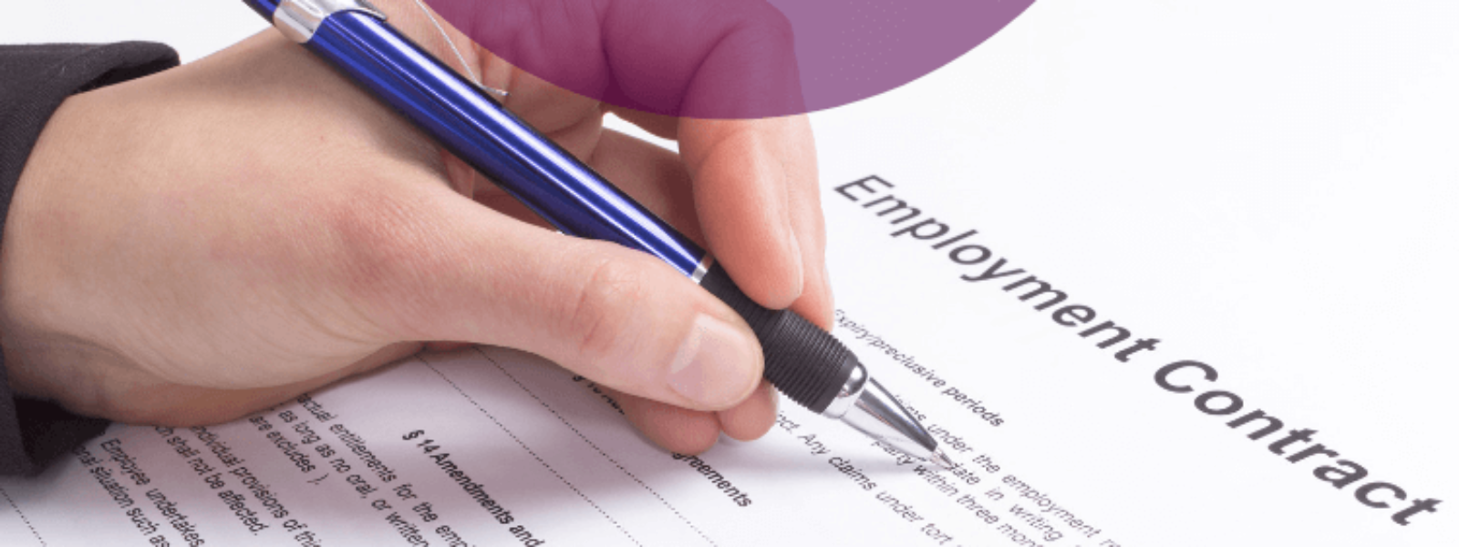 Everything you need to know about employment law