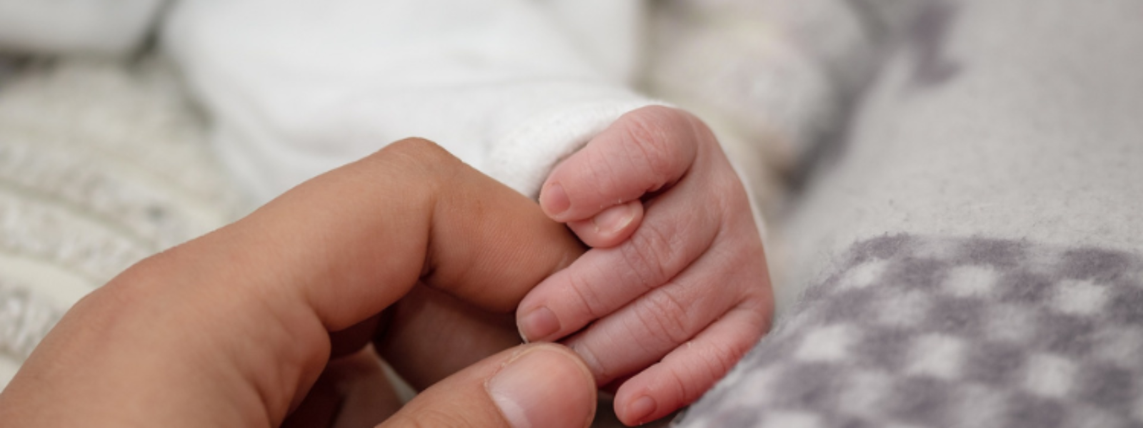 What is Erb’s Palsy?