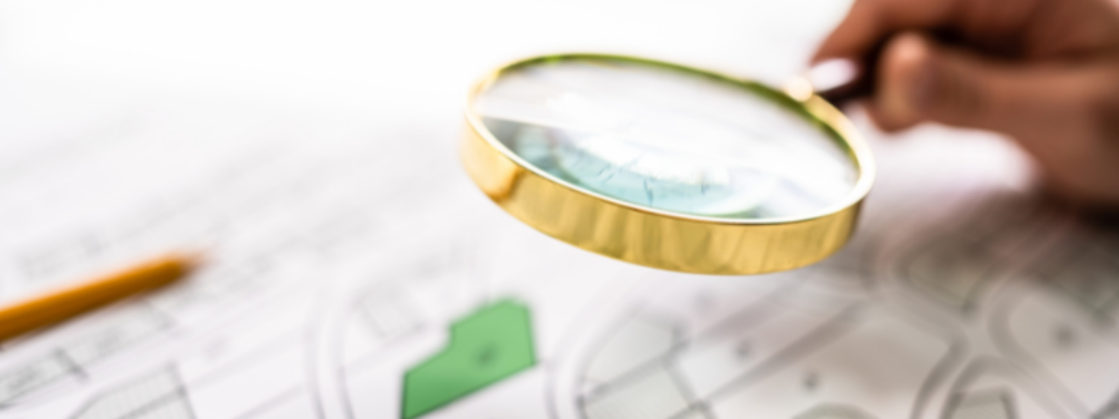 Navigating land disputes with Paul Magee