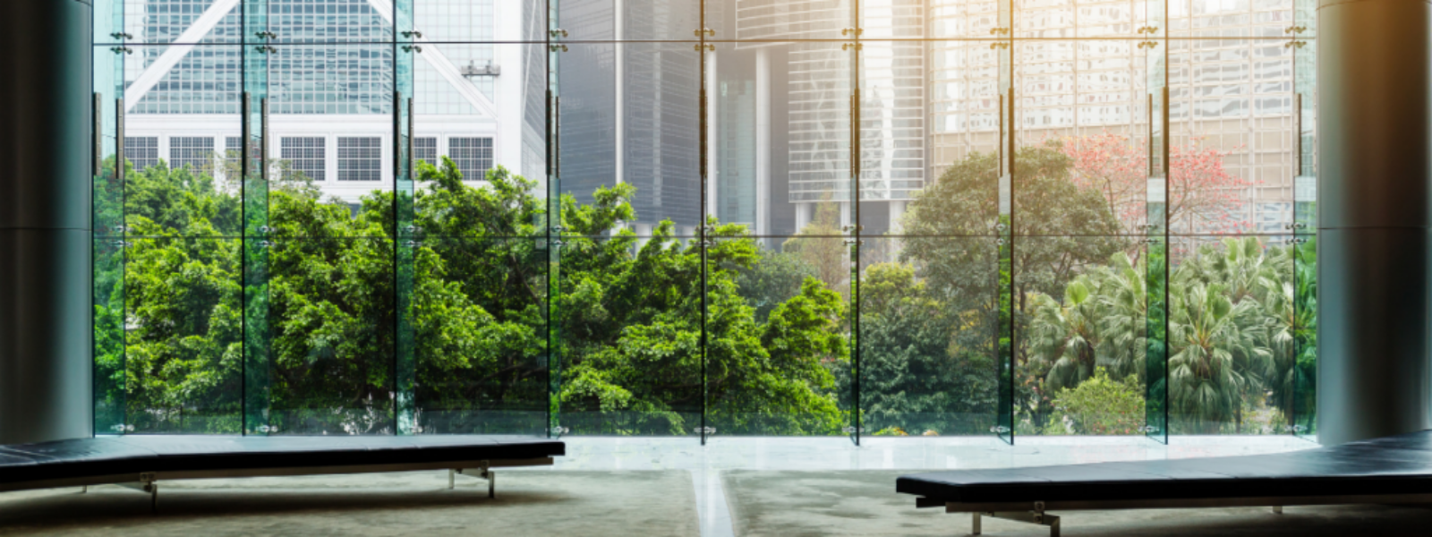 Commercial Lease Forfeiture and Section 146 Notices: A Guide for Landlords