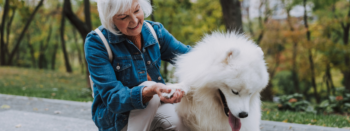 Pets in a will